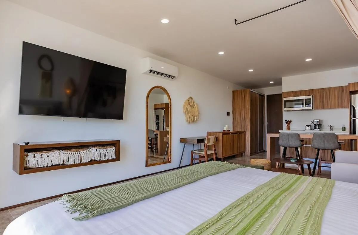 פלאייה דל כרמן Stunning New Studio With Rooftop Pool דירה